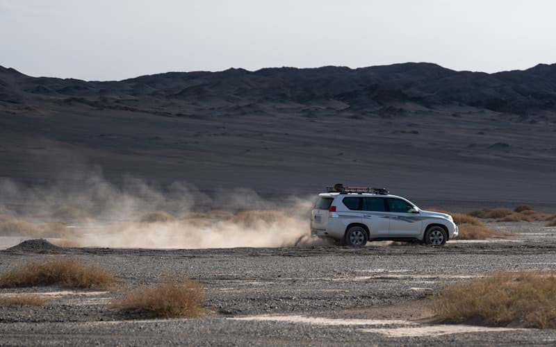 Best Vehicles for Tall Drivers: Comfort and Legroom Guide