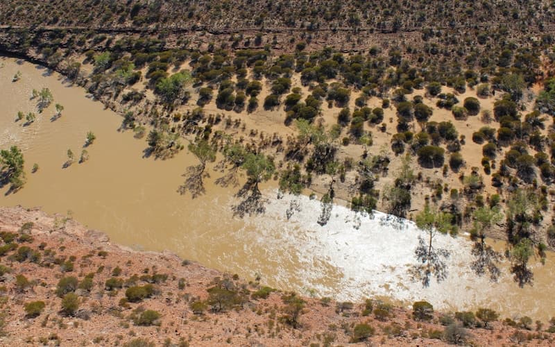 The Complete Guide to Vehicle Registration in WA