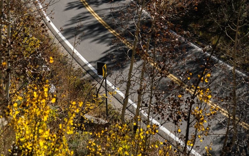 How to Check a Used Car's History Before Buying